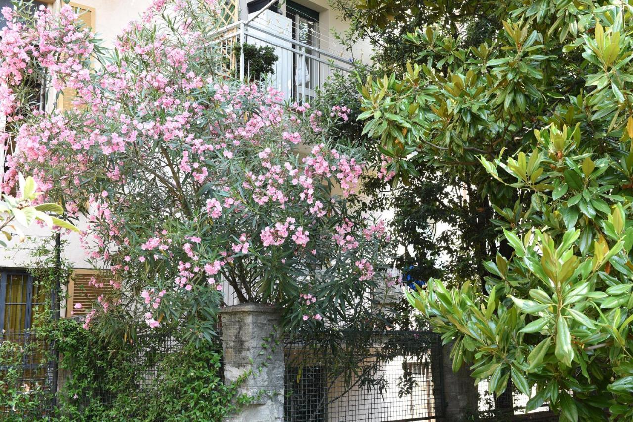 Le Rondinelle Apartment Como Exterior foto
